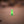 Nano S (Glow In The Dark) - 5 Pack