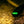 Nano S (Glow In The Dark) - 5 Pack