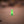 Nano S (Glow In The Dark)